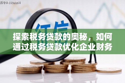 随州探索税务贷款的奥秘，如何通过税务贷款优化企业财务