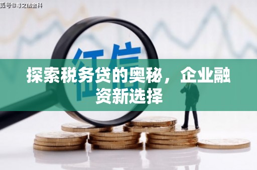 随州探索税务贷的奥秘，企业融资新选择