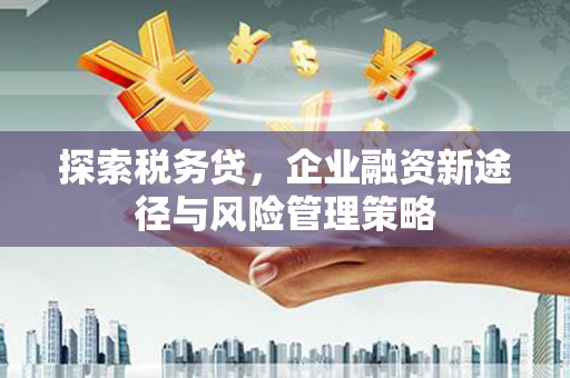随州探索税务贷，企业融资新途径与风险管理策略
