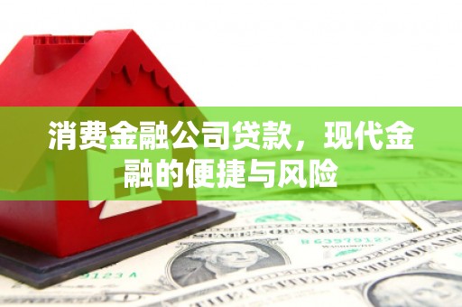 随州消费金融公司贷款，现代金融的便捷与风险