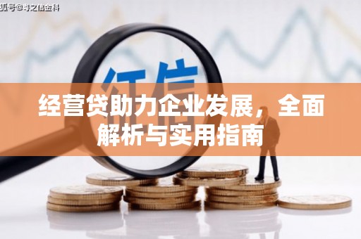 随州经营贷助力企业发展，全面解析与实用指南