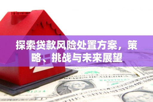 随州探索贷款风险处置方案，策略、挑战与未来展望
