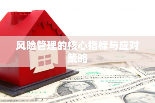 随州风险管理的核心指标与应对策略