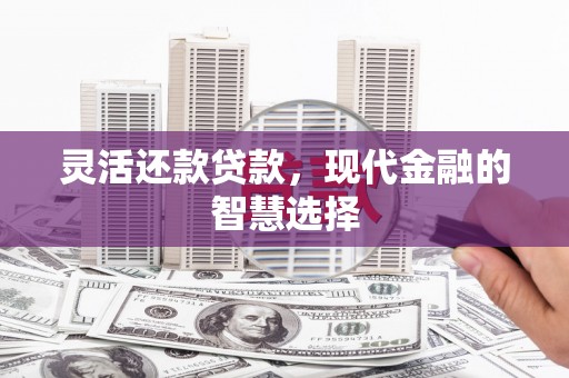 随州灵活还款贷款，现代金融的智慧选择