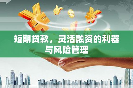 随州短期贷款，灵活融资的利器与风险管理