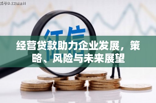 随州经营贷款助力企业发展，策略、风险与未来展望