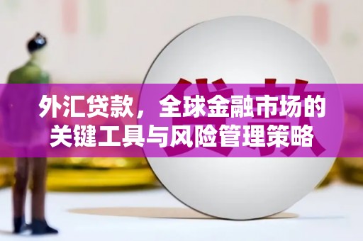 随州外汇贷款，全球金融市场的关键工具与风险管理策略