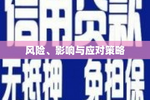 随州风险、影响与应对策略