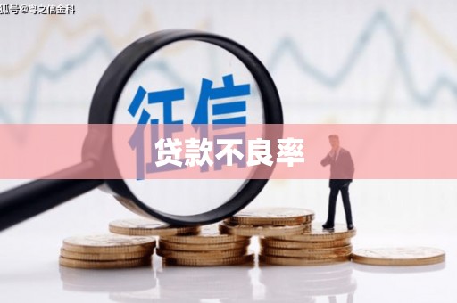 随州贷款不良率