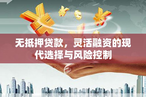 随州无抵押贷款，灵活融资的现代选择与风险控制