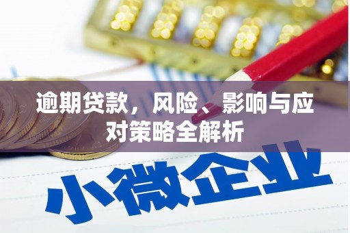 随州逾期贷款，风险、影响与应对策略全解析
