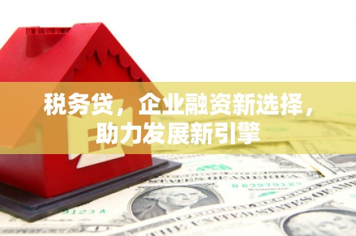 随州税务贷，企业融资新选择，助力发展新引擎