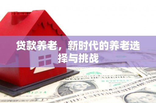 随州贷款养老，新时代的养老选择与挑战