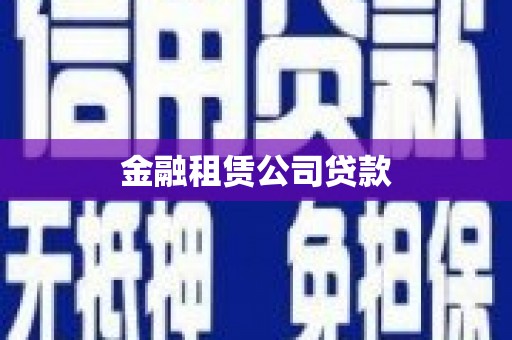 随州金融租赁公司贷款