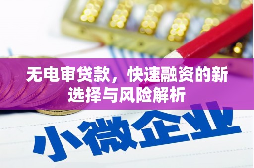 随州无电审贷款，快速融资的新选择与风险解析