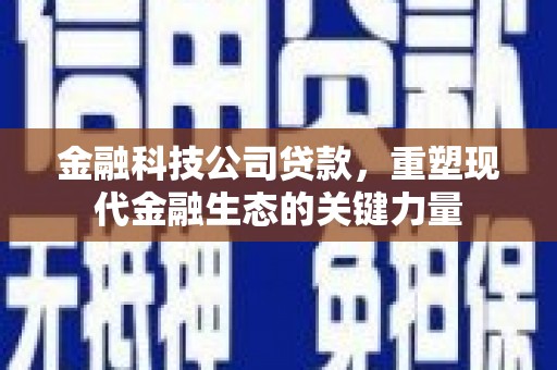 随州金融科技公司贷款，重塑现代金融生态的关键力量