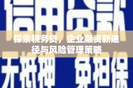 随州探索税务贷，企业融资新途径与风险管理策略