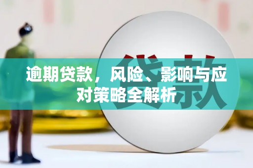 随州逾期贷款，风险、影响与应对策略全解析