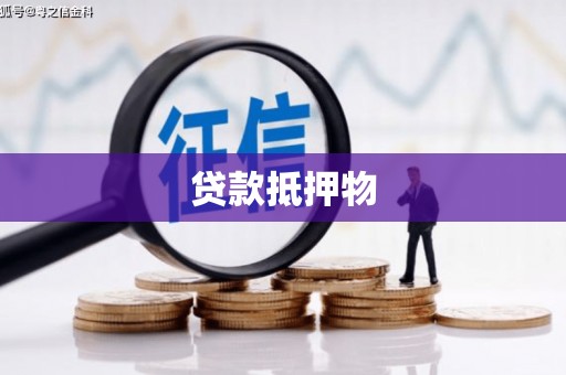 随州贷款抵押物