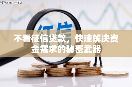 随州不看征信贷款，快速解决资金需求的秘密武器