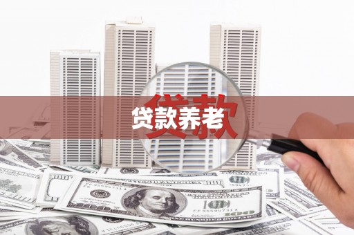 随州贷款养老