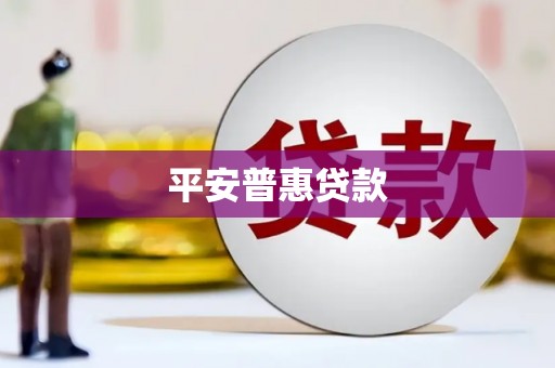 随州平安普惠贷款