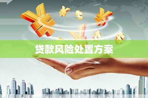随州贷款风险处置方案