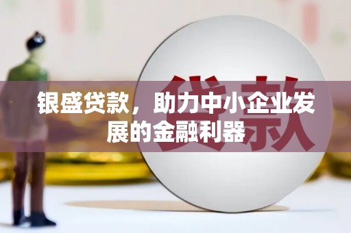 随州银盛贷款，助力中小企业发展的金融利器