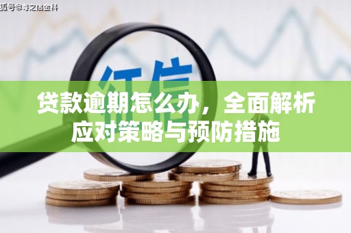 随州贷款逾期怎么办，全面解析应对策略与预防措施