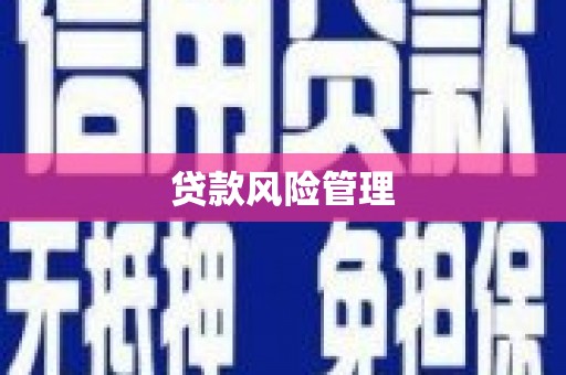 随州贷款风险管理