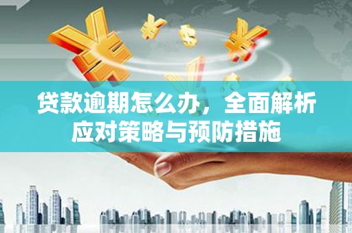 随州贷款逾期怎么办，全面解析应对策略与预防措施