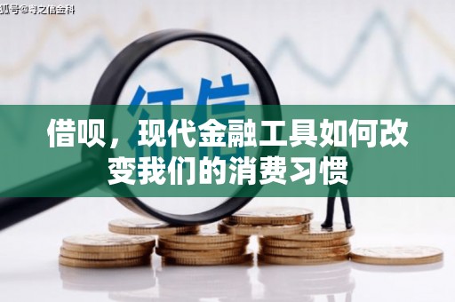 随州借呗，现代金融工具如何改变我们的消费习惯