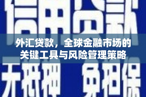随州外汇贷款，全球金融市场的关键工具与风险管理策略
