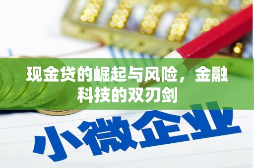 随州现金贷的崛起与风险，金融科技的双刃剑