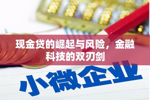随州现金贷的崛起与风险，金融科技的双刃剑