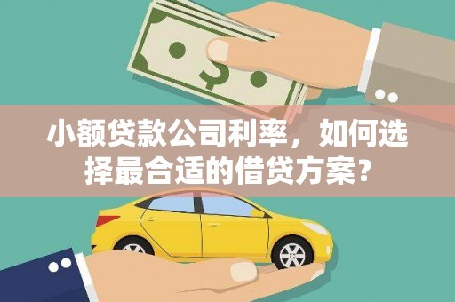 随州小额贷款公司利率，如何选择最合适的借贷方案？