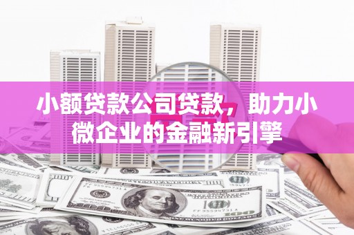 随州小额贷款公司贷款，助力小微企业的金融新引擎