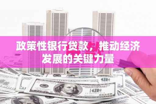 随州政策性银行贷款，推动经济发展的关键力量