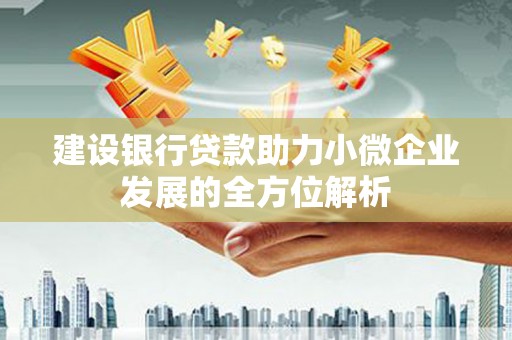 随州建设银行贷款助力小微企业发展的全方位解析