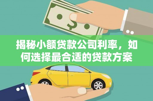 随州揭秘小额贷款公司利率，如何选择最合适的贷款方案
