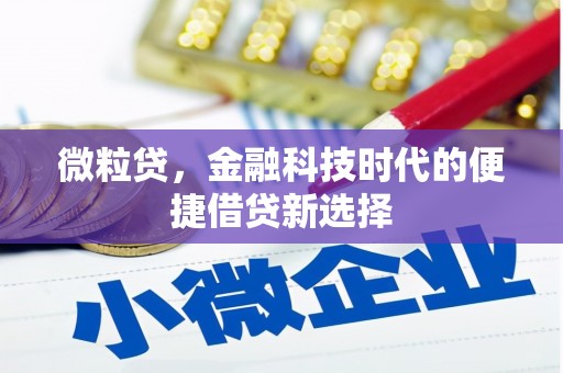 随州微粒贷，金融科技时代的便捷借贷新选择