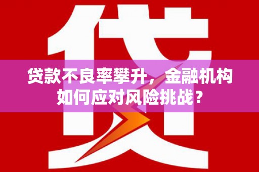 随州贷款不良率攀升，金融机构如何应对风险挑战？