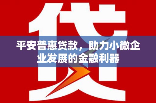 随州平安普惠贷款，助力小微企业发展的金融利器