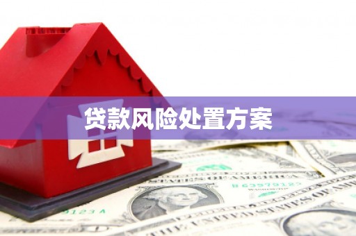 随州贷款风险处置方案