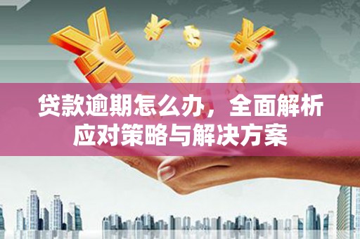 随州贷款逾期怎么办，全面解析应对策略与解决方案