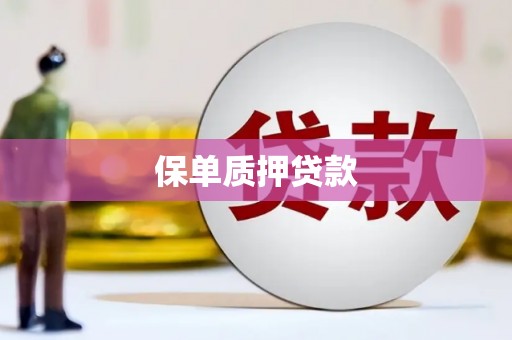 随州保单质押贷款