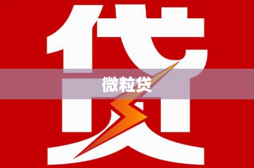 随州微粒贷