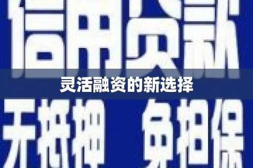 随州灵活融资的新选择