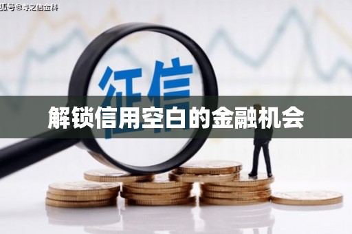 随州解锁信用空白的金融机会