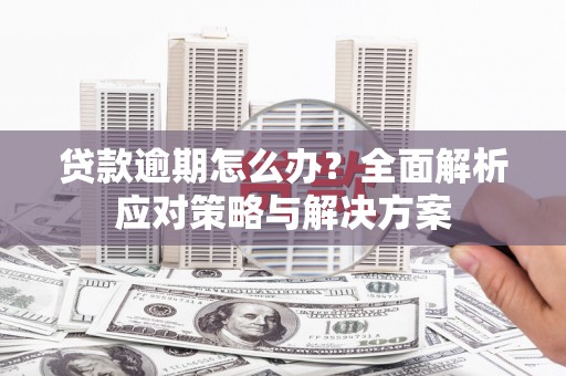 随州贷款逾期怎么办？全面解析应对策略与解决方案